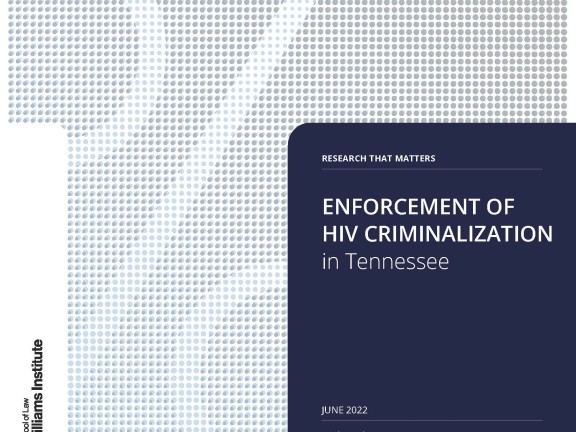 Cover of Enforcement of HIV Criminalization in Tennessee