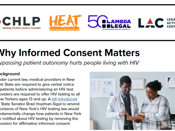 Screenshot of fact sheet with logos for CHLP, HEAT, Lambda Legal and LAC.