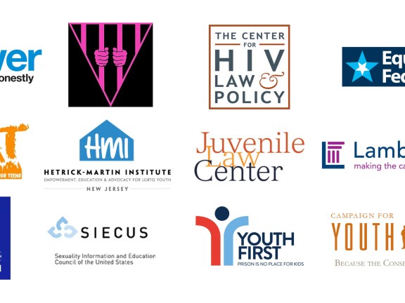 Image logos of 12 originating endorsers SHYAC Consensus statement