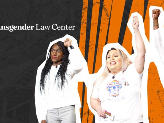 This image shows three people outlined in white, each raising a fist in the air in a gesture of empowerment; one holds a microphone. The background is split between a dark textured pattern with the “Transgender Law Center” logo on the left and bold orange stripes on the right.