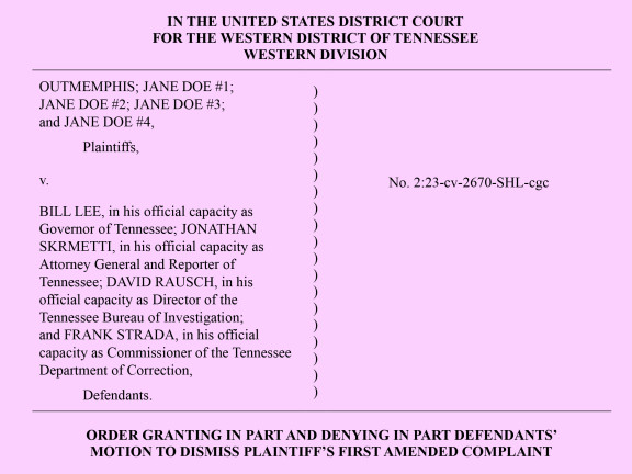 Screenshot of first page of ruling on pink background