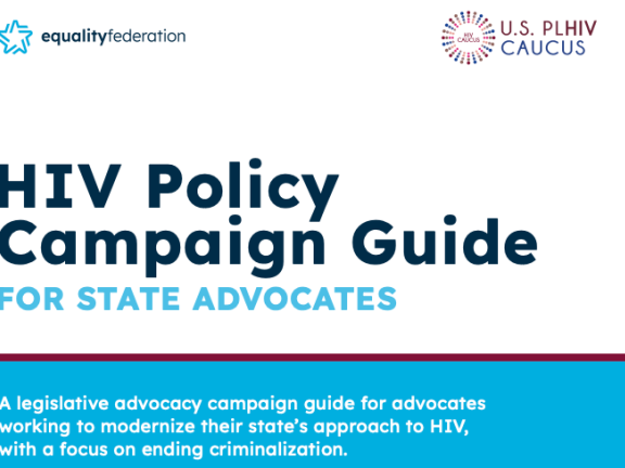 Screenshot of publication cover with Equality Fed and Caucus logos, publication title and description on white and blue backgrounds.