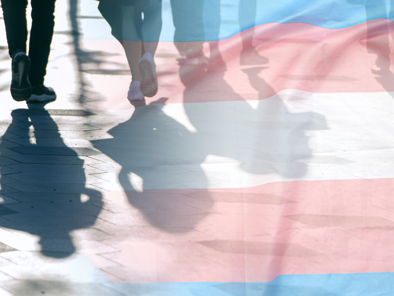 Shadows of people walking with a trans flag superimposed