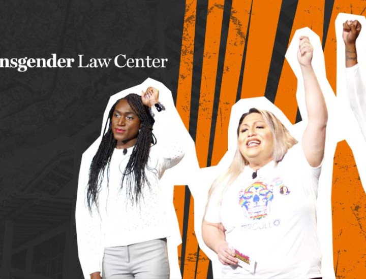 This image shows three people outlined in white, each raising a fist in the air in a gesture of empowerment; one holds a microphone. The background is split between a dark textured pattern with the “Transgender Law Center” logo on the left and bold orange stripes on the right.