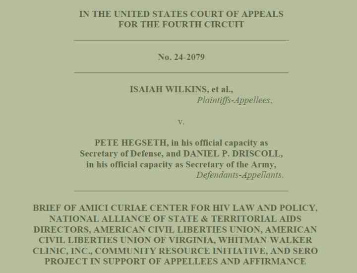Screenshot of first page of brief with army green color overlay.