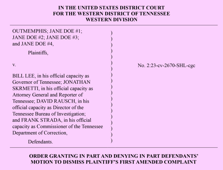 Screenshot of first page of ruling on pink background
