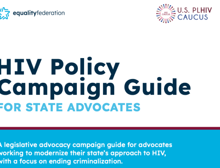 Screenshot of publication cover with Equality Fed and Caucus logos, publication title and description on white and blue backgrounds.