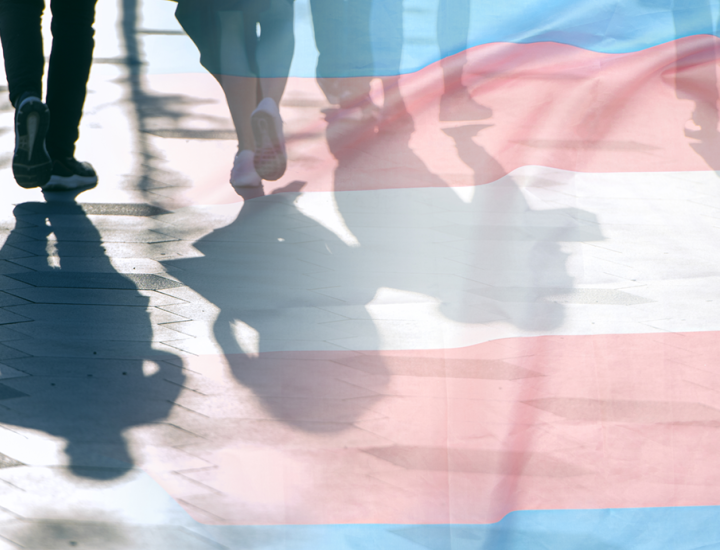 Shadows of people walking with a trans flag superimposed